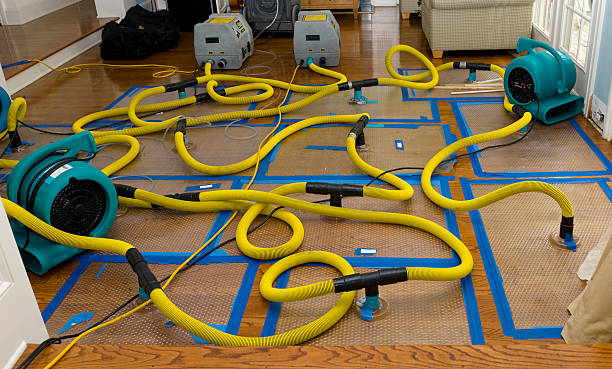 Professional Water Damage Repair technician working in Harrisburg, IL